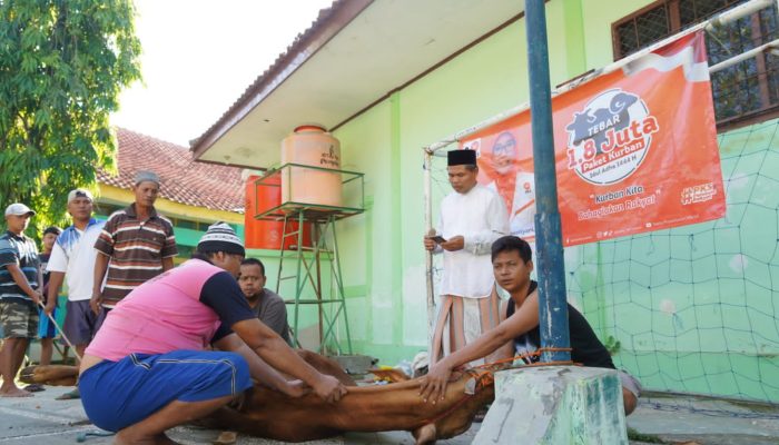 Politikus PKS Sebut Kurban Bisa Jadi Inspirasi untuk Penurunan Stunting