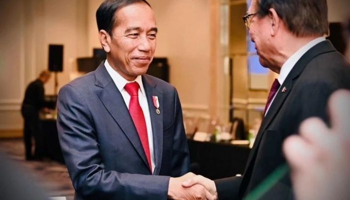 Pernah Sesumbar Ratusan Investor Asing Antre Masuk IKN, Ternyata Jokowi Bohong