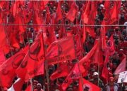 Viral Video Satpol PP Cabut Bendera PDIP, Bendera Golkar dan Baliho Prabowo-Gibran Dibiarkan