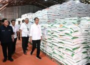 Harga Beras Mahal, Jokowi Salahkan Perubahan Iklim