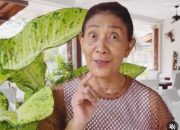 China Minat Dirikan Pabrik Sendok Garpu di RI, Susi Pudjiastuti: Harusnya Kita Bisa Bikin Sendiri