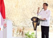 Jokowi Tak Mau Terus-terusan Ditanya Soal Harga Beras: Cek Sendiri ke Lapangan