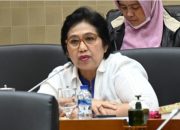 Politikus Nasdem Sebut PDIP Bagus Saat Jadi Oposisi: Saat Menang Diam Seperti Kura-kura