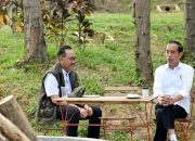 Jokowi Minta Revisi Desain Istana Wapres di IKN