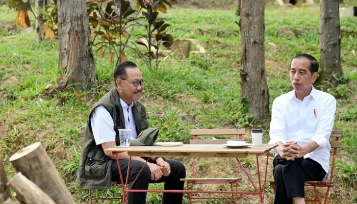 Jokowi Minta Revisi Desain Istana Wapres di IKN