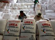 Wujudkan Swasembada Pangan, Pemerintah Naikkan Anggaran Subsidi Pupuk Jadi Rp54 T Tahun Ini