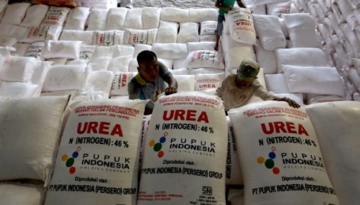Wujudkan Swasembada Pangan, Pemerintah Naikkan Anggaran Subsidi Pupuk Jadi Rp54 T Tahun Ini