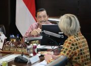 Kata Luhut, China Akan Garap Sawah Padi di Kalteng