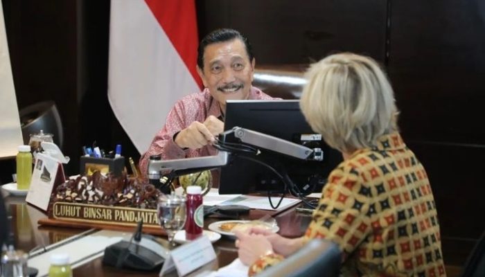 Kata Luhut, China Akan Garap Sawah Padi di Kalteng