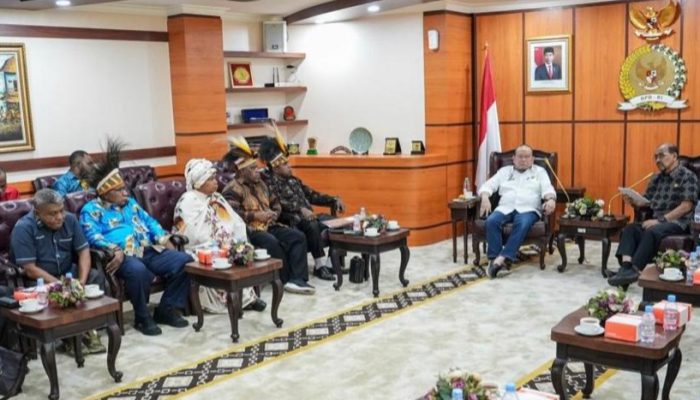 MRP Minta DPD RI Lindungi Hak Politik Orang Papua Asli