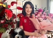 Grace Jadi Stafsus Presiden, Balas Budi Jokowi ke PSI?