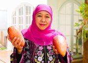 Khofifah Diadukan ke KPK atas Dugaan Korupsi di Kemensos