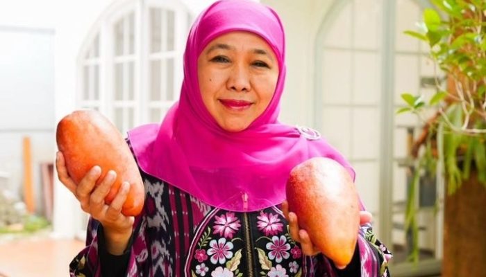 Khofifah Diadukan ke KPK atas Dugaan Korupsi di Kemensos