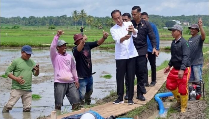 Indonesia Gagal Swasembada Pangan, Jokowi Salahkan Perubahan Iklim