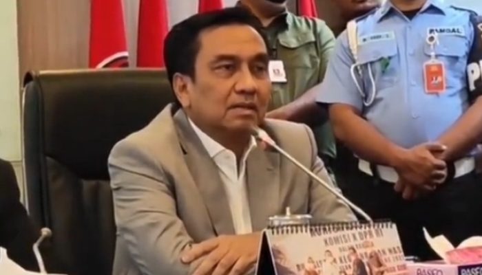 Effendi Simbolon Minta Budi Arie Kesatria, Mundur dari Jabatan Menkominfo