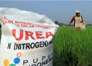 Tebus Pupuk Subsidi Cukup Bawa KTP