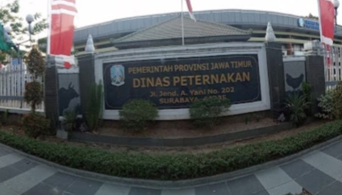 KPK Geledah Kantor Dinas Peternakan Jatim Terkait Kasus Dana Hibah