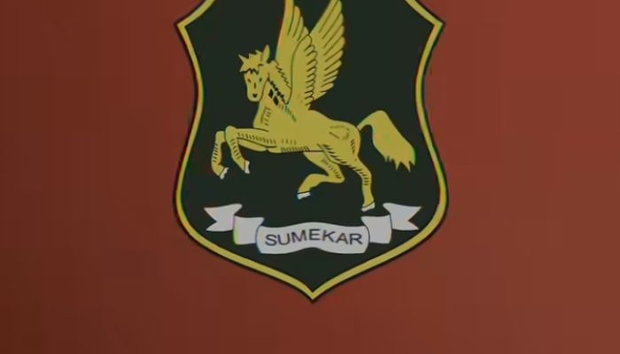 Sumenep Darurat Kepemimpinan Menggema di Media Sosial