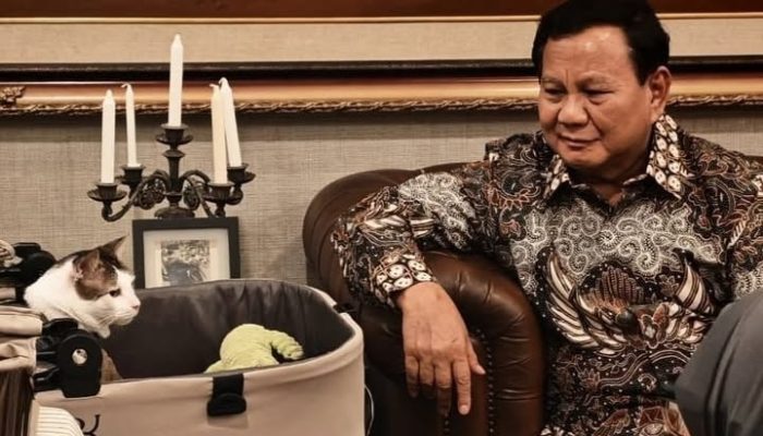 Prabowo Sebut Jepang Siap Bantu Program Makan Bergizi Gratis