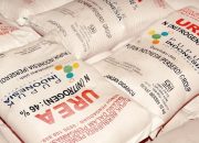 Pemerintah Berencana Naikkan Harga Pupuk Subsidi