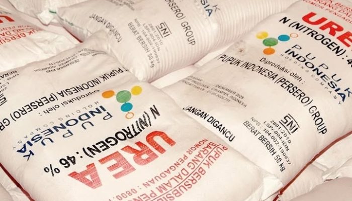 Pemerintah Berencana Naikkan Harga Pupuk Subsidi