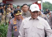 Mentan Ragukan Patriotisme Importir Singkong