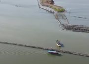 6 Pejabat Kantor Pertanahan Tangerang Dipecat Gegara Sertifikat Pagar Laut