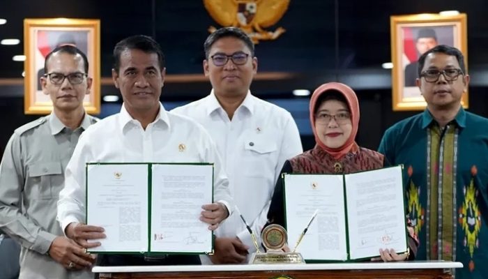 Beda Data BPS dengan Klaim Mentan Soal Harga Beras