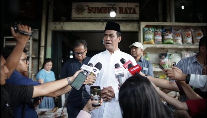 Ratusan Ribu Ton Beras Impor Berkutu, Ini Kata Mentan