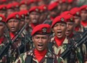 PBHI Sebut 2.569 Prajurit Harus Mundur Sebagai Implikasi dari UU TNI