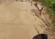 Soal Rencana Gugat Bupati Sumenep, Pemuda Kangean: Materi Sudah Siap, Tinggal Nunggu Waktu