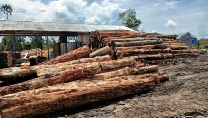 Program BSPS di Kangean Diduga Pakai Kayu Hasil Tebang Liar, Perhutani: Tidak Murni Benar