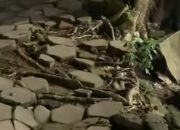 Warganet Soroti Kondisi Taman Bunga Sumenep: Hancur Seperti Tak Terurus