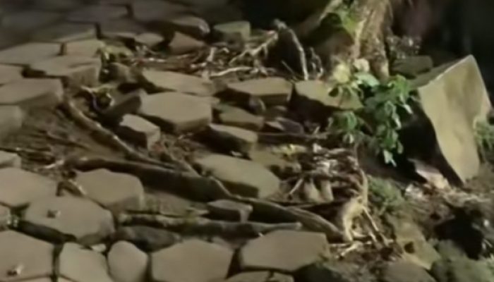 Warganet Soroti Kondisi Taman Bunga Sumenep: Hancur Seperti Tak Terurus