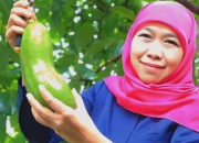 Sindiran Cak Sholeh ke Khofifah: Aku Bingung, Kamu Gubernur Apa Pedagang Buah?