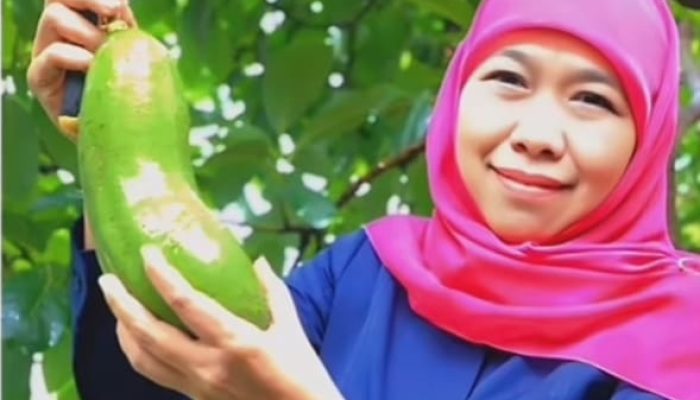 Sindiran Cak Sholeh ke Khofifah: Aku Bingung, Kamu Gubernur Apa Pedagang Buah?