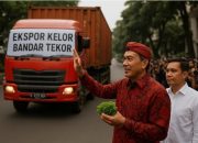 Ekspor Kelor, Bandar Tekor