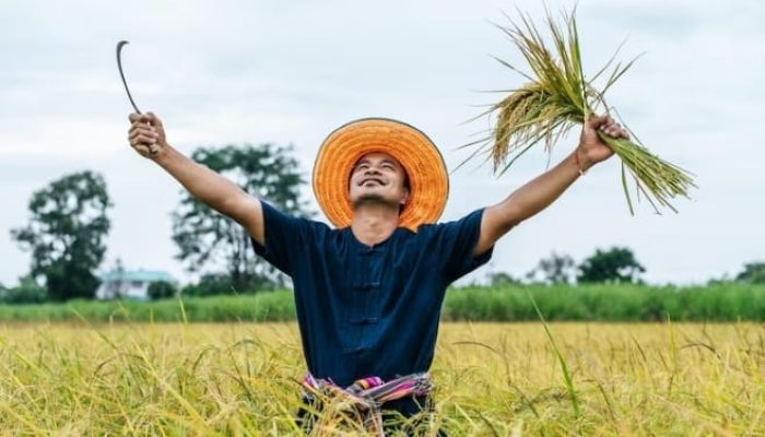 Program Ketahanan Pangan Kita: Dimanakah Petani-Nelayan Kecil Berdiri?