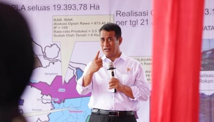 Mentan Amran Klaim Harga Beras Turun
