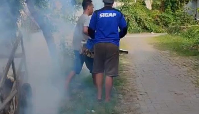 Komunitas PeLiTa Gelar Fogging Cegah DBD di Perumahan GSP