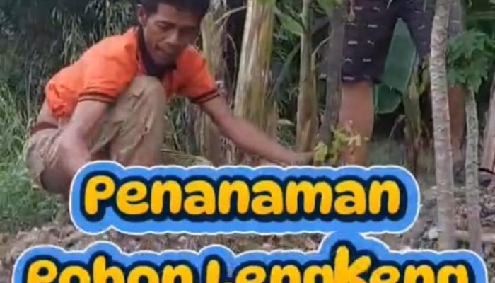 Komunitas PeLiTa Tanam Pohon Lengkeng di Lingkungan Blok A Perum GSP Bekasi