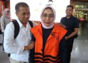 Soal Vonis Eks Petinggi ASPD, Emerson: Jangan Paksakan Orang Baik Masuk Penjara