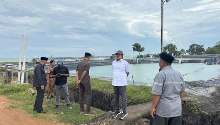 Banyak Tambak Udang Buang Limbah ke Laut, Pansus DPRD Sentil DLH Sumenep, Minta Segera Ditutup