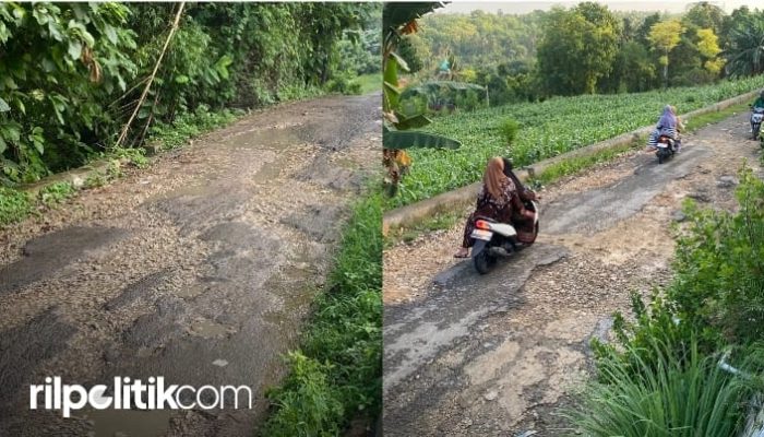 Jalan Rusak Menahun Tak Kunjung Diperbaiki, Peran 7 Anggota DPRD Sumenep dari Dapil 2 Disorot