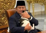 Waketum MUI Dukung Prabowo Jadi Juru Damai Konflik AS dan Iran