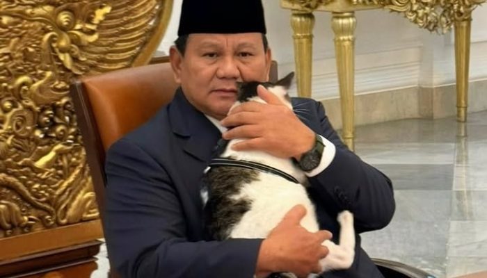 Waketum MUI Dukung Prabowo Jadi Juru Damai Konflik AS dan Iran