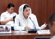 Pemerintah Akan Tertibkan Penjualan Minyakita di atas HET