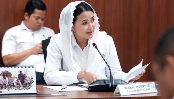 Pemerintah Akan Tertibkan Penjualan Minyakita di atas HET