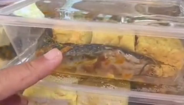 SMAN 2 Pamekasan Tolak MBG Diduga Tak Layak: Hanya Akan Jadi Sampah di Sekolah