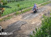 Ironi Warga Bluto: Punya Wabup, Jalan Utama ‘Salbut’